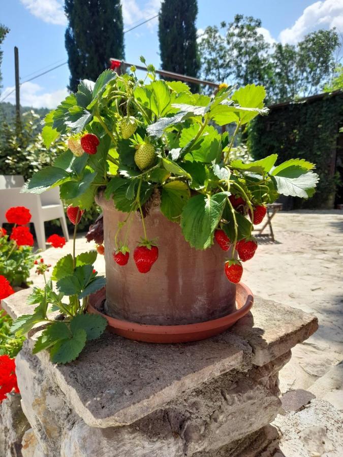 Volver B&B Spoleto Buitenkant foto